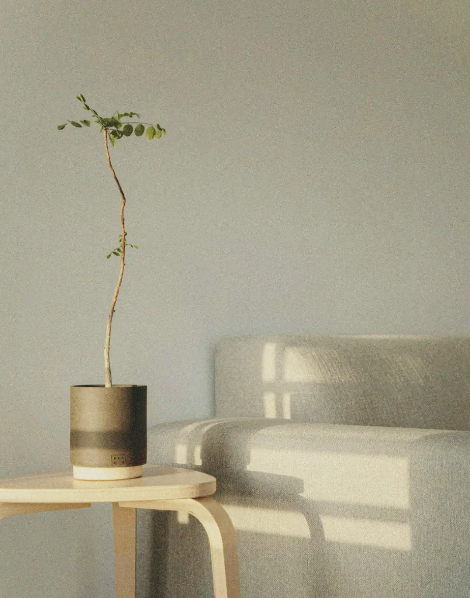 おしゃれなソファとテーブル